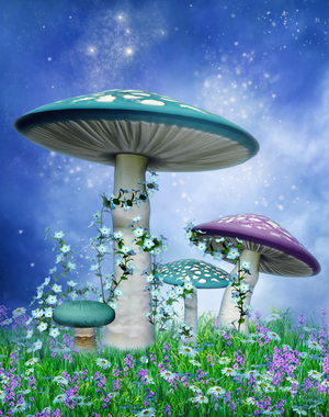 Gaia Sagrada Now Offers Magic Mushroom Retreats in Jamaica!!!!